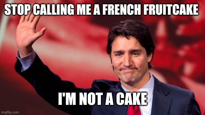 Justin Trudeau Hand Up | STOP CALLING ME A FRENCH FRUITCAKE; I'M NOT A CAKE | image tagged in justin trudeau hand up | made w/ Imgflip meme maker