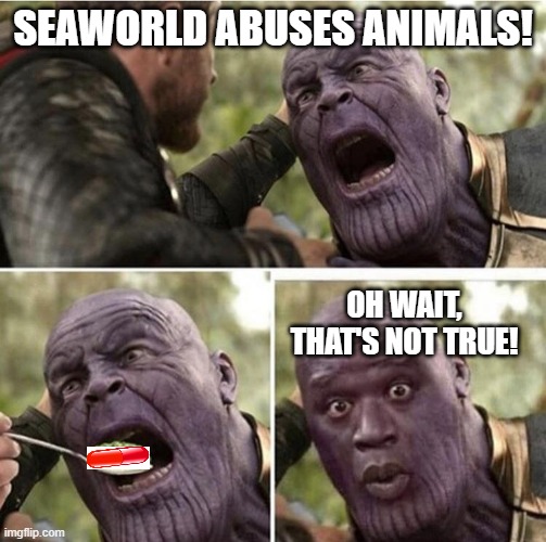 Truly Based and Red Pilled | SEAWORLD ABUSES ANIMALS! OH WAIT, THAT'S NOT TRUE! | image tagged in thanos being spoonfed | made w/ Imgflip meme maker