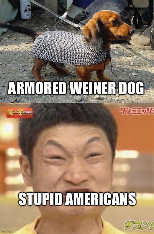 ARMORED WEINER DOG; STUPID AMERICANS | image tagged in weiner dog,angry asian man | made w/ Imgflip meme maker