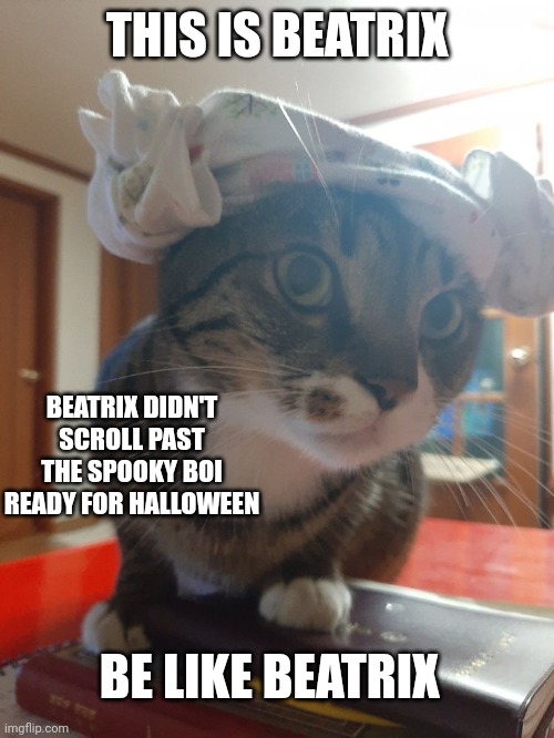 THIS IS BEATRIX BEATRIX DIDN'T SCROLL PAST THE SPOOKY BOI READY FOR HALLOWEEN BE LIKE BEATRIX | made w/ Imgflip meme maker