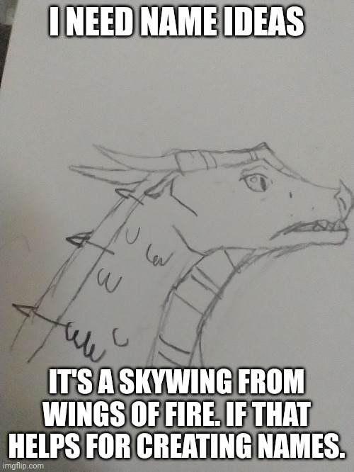 Help | I NEED NAME IDEAS; IT'S A SKYWING FROM WINGS OF FIRE. IF THAT HELPS FOR CREATING NAMES. | image tagged in help,dragon | made w/ Imgflip meme maker