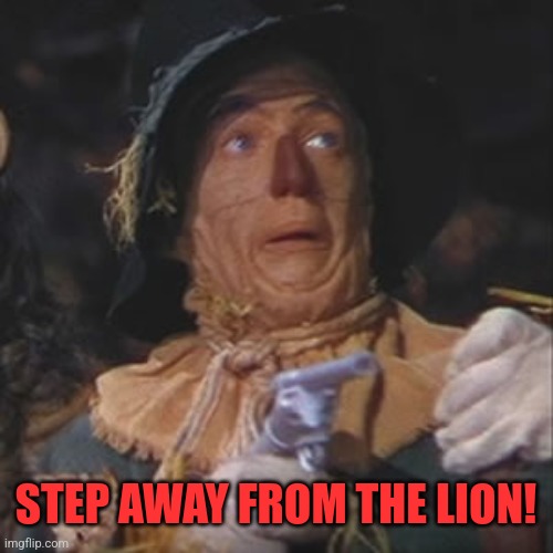 Scarecrow with gun | STEP AWAY FROM THE LION! | image tagged in scarecrow with gun | made w/ Imgflip meme maker