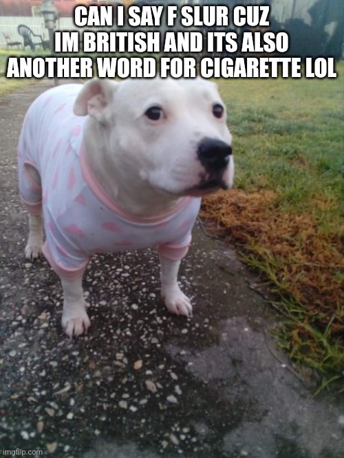 High quality Huh Dog | CAN I SAY F SLUR CUZ IM BRITISH AND ITS ALSO ANOTHER WORD FOR CIGARETTE LOL | image tagged in high quality huh dog | made w/ Imgflip meme maker