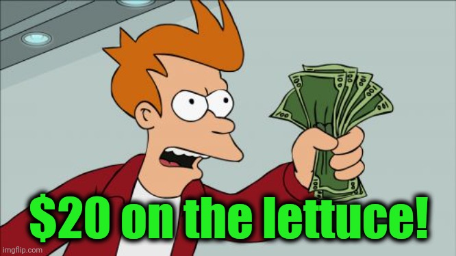 Shut Up And Take My Money Fry Meme | $20 on the lettuce! | image tagged in memes,shut up and take my money fry | made w/ Imgflip meme maker