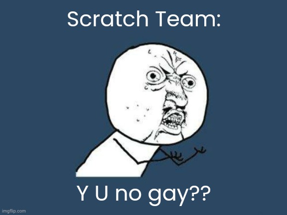 Im not tryna be homophobic but the ST is such a Karen abt that | Scratch Team:; Y U no gay?? | image tagged in why you no,y u no,scratch,scratch team | made w/ Imgflip meme maker