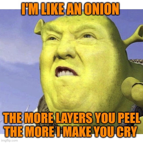 Donald Trump Shrek | I'M LIKE AN ONION THE MORE LAYERS YOU PEEL
THE MORE I MAKE YOU CRY | image tagged in donald trump shrek | made w/ Imgflip meme maker