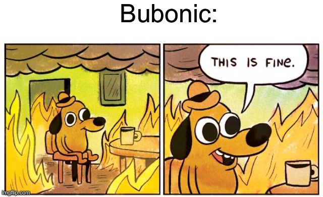 @Bubonic | Bubonic: | image tagged in memes,this is fine | made w/ Imgflip meme maker