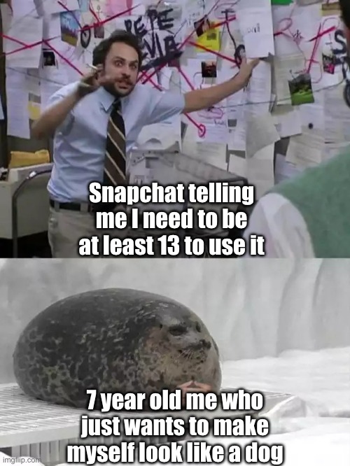 funny face | Snapchat telling me I need to be at least 13 to use it; 7 year old me who just wants to make myself look like a dog | image tagged in man explaining to seal | made w/ Imgflip meme maker