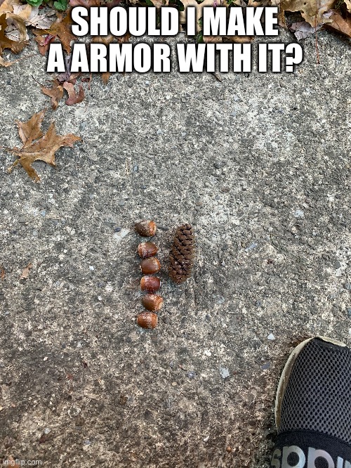 SHOULD I MAKE A ARMOR WITH IT? | made w/ Imgflip meme maker