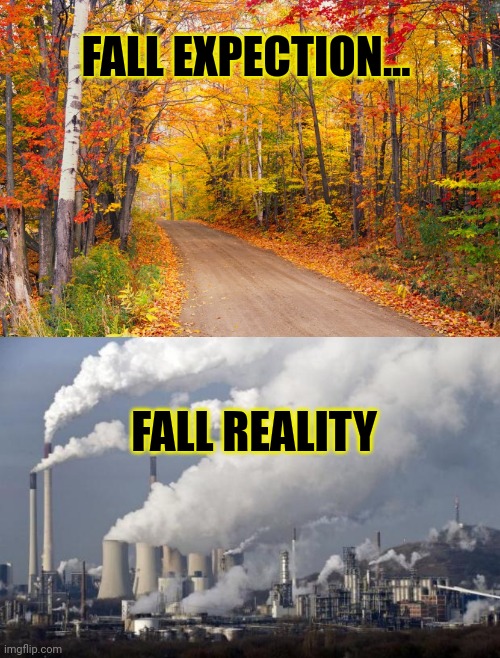 Fall is here | FALL EXPECTION... FALL REALITY | image tagged in fall leaves texas,pollution,fall,leaves | made w/ Imgflip meme maker