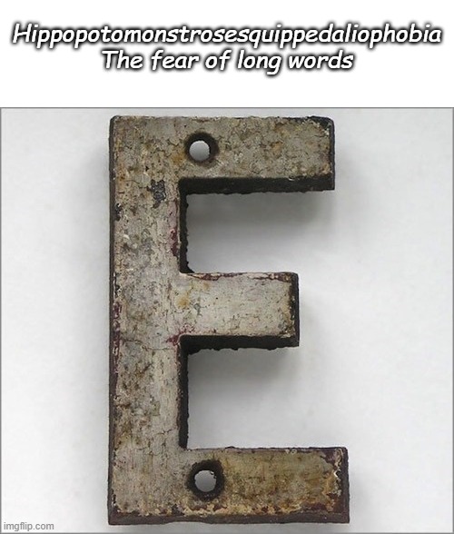 How Ironic | Hippopotomonstrosesquippedaliophobia
The fear of long words | image tagged in oh the iron e | made w/ Imgflip meme maker