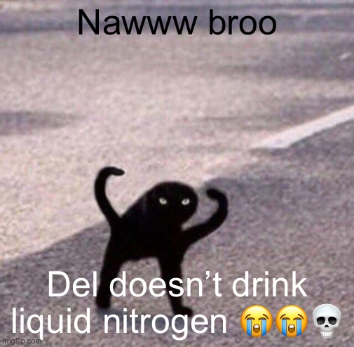 Cursed cat temp | Nawww broo; Del doesn’t drink liquid nitrogen 😭😭💀 | image tagged in cursed cat temp | made w/ Imgflip meme maker
