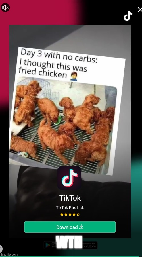 When I first saw this, I thought the same | WTH | image tagged in tiktok,chicken,lol so funny | made w/ Imgflip meme maker