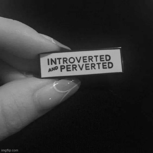 Introverted | image tagged in introverted | made w/ Imgflip meme maker