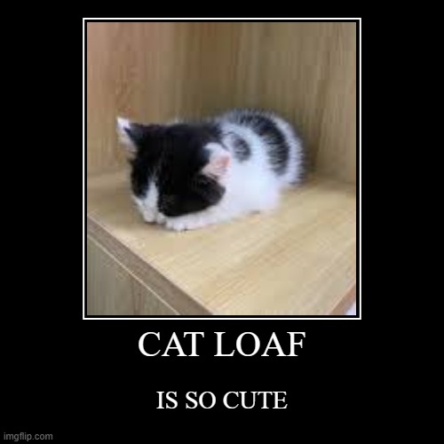 image tagged in funny,demotivationals,cat,cat loaf,loaf,cute cat | made w/ Imgflip demotivational maker