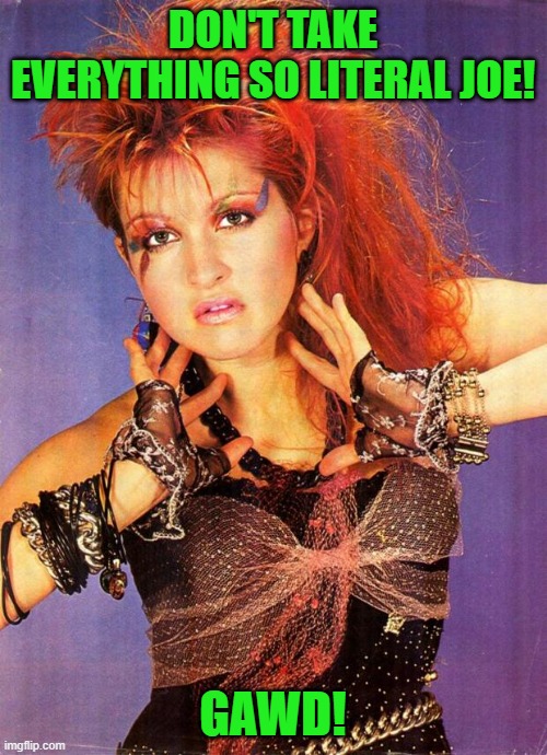 Cyndi Lauper | DON'T TAKE EVERYTHING SO LITERAL JOE! GAWD! | image tagged in cyndi lauper | made w/ Imgflip meme maker