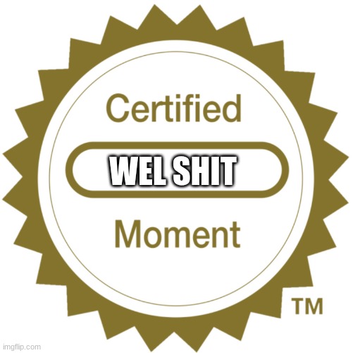 Certified Moment | WEL SHIT | image tagged in certified moment | made w/ Imgflip meme maker