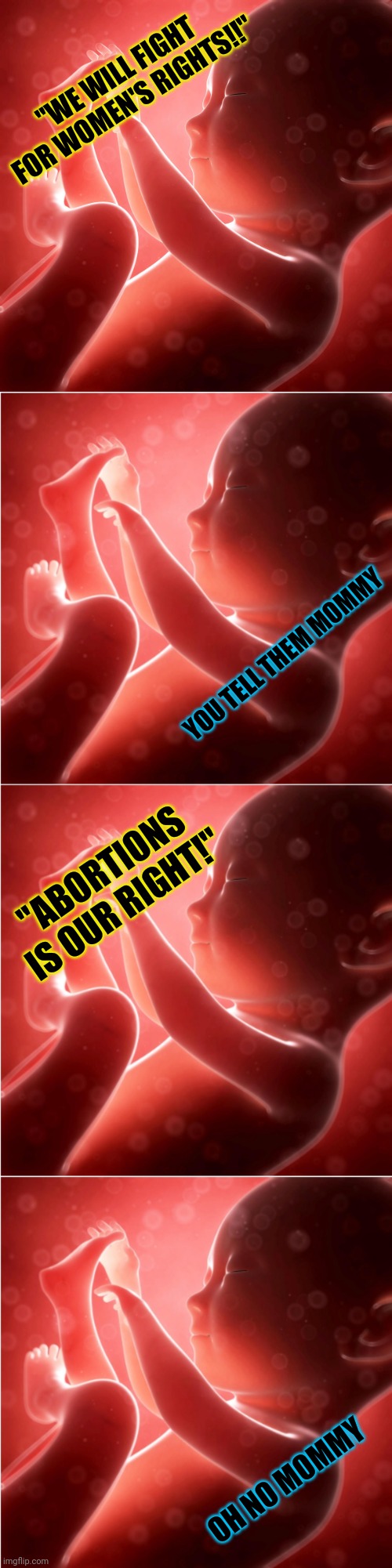  "WE WILL FIGHT FOR WOMEN'S RIGHTS!!"; YOU TELL THEM MOMMY; "ABORTIONS IS OUR RIGHT!"; OH NO MOMMY | image tagged in baby fetus | made w/ Imgflip meme maker