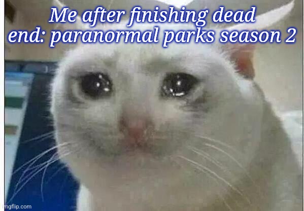 crying cat | Me after finishing dead end: paranormal parks season 2 | image tagged in crying cat | made w/ Imgflip meme maker