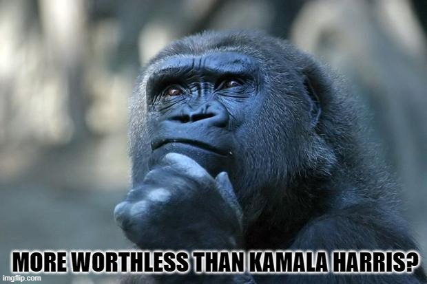 Deep Thoughts | MORE WORTHLESS THAN KAMALA HARRIS? | image tagged in deep thoughts | made w/ Imgflip meme maker
