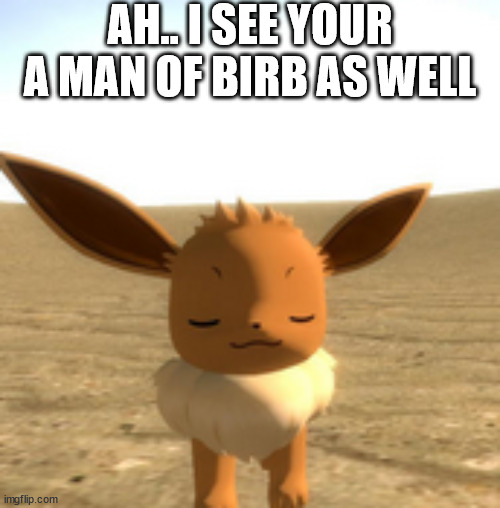 me and FrostTheGlaceon like rowlet | AH.. I SEE YOUR A MAN OF BIRB AS WELL | image tagged in calm eevee | made w/ Imgflip meme maker