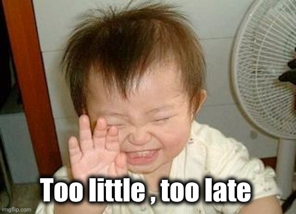 Asian Baby Laughing | Too little , too late | image tagged in asian baby laughing | made w/ Imgflip meme maker