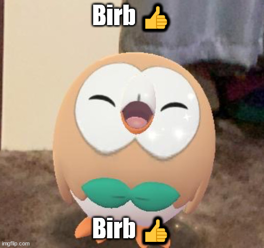 Happy Rowlet | Birb 👍; Birb 👍 | image tagged in happy rowlet | made w/ Imgflip meme maker
