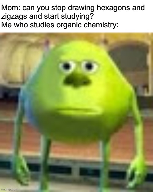 Sully Wazowski | Mom: can you stop drawing hexagons and
zigzags and start studying?
Me who studies organic chemistry: | image tagged in sully wazowski | made w/ Imgflip meme maker