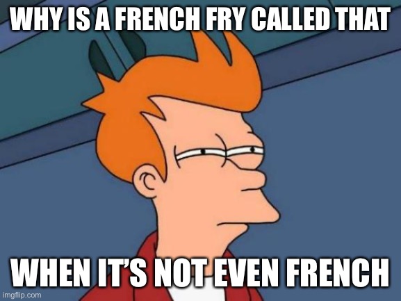 Hmmmmmmm… | WHY IS A FRENCH FRY CALLED THAT; WHEN IT’S NOT EVEN FRENCH | image tagged in memes,futurama fry | made w/ Imgflip meme maker