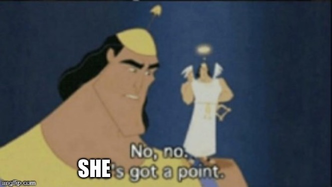 no no hes got a point | SHE | image tagged in no no hes got a point | made w/ Imgflip meme maker