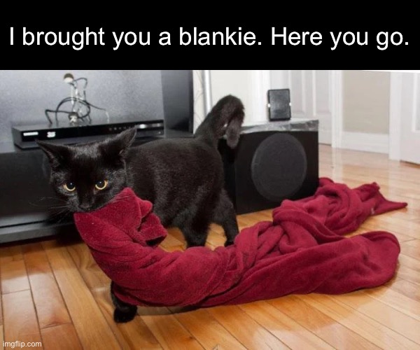 I brought you a blankie. Here you go. | made w/ Imgflip meme maker