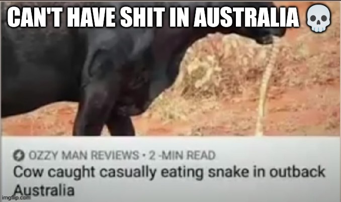 ppl talkin about detroit, but what about Australia | CAN'T HAVE SHIT IN AUSTRALIA 💀 | made w/ Imgflip meme maker