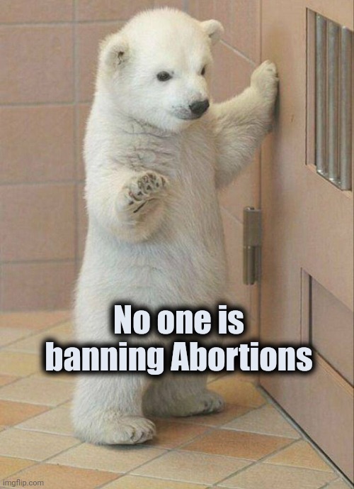 Not now Bear | No one is banning Abortions | image tagged in not now bear | made w/ Imgflip meme maker