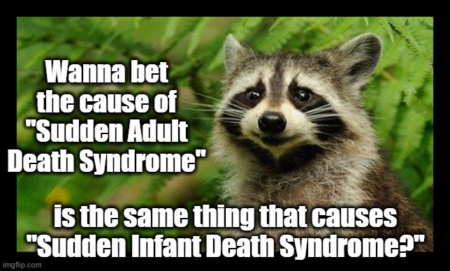 Coincidence I'm sure... | Wanna bet the cause of "Sudden Adult Death Syndrome"; is the same thing that causes "Sudden Infant Death Syndrome?" | image tagged in sads,sids,vax,big pharma | made w/ Imgflip meme maker