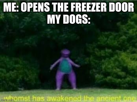 this happens every time | ME: OPENS THE FREEZER DOOR
MY DOGS: | image tagged in whomst has awakened the ancient one | made w/ Imgflip meme maker