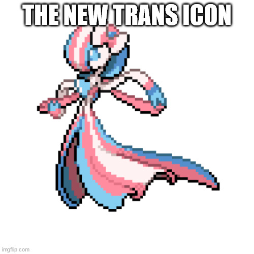 bro's literally wearing the flag lol | THE NEW TRANS ICON | made w/ Imgflip meme maker