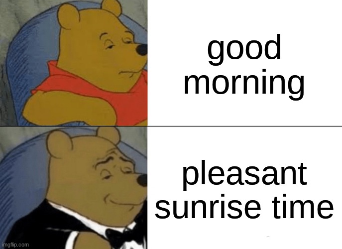 haha | good morning; pleasant sunrise time | image tagged in memes,tuxedo winnie the pooh | made w/ Imgflip meme maker