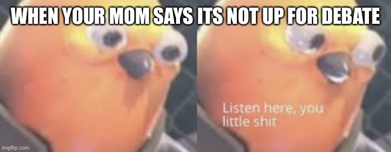 Listen here you little shit bird | WHEN YOUR MOM SAYS ITS NOT UP FOR DEBATE | image tagged in listen here you little shit bird | made w/ Imgflip meme maker