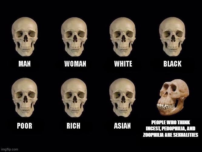 empty skulls of truth | PEOPLE WHO THINK INCEST, PEDOPHILIA, AND ZOOPHILIA ARE SEXUALITIES | image tagged in empty skulls of truth | made w/ Imgflip meme maker