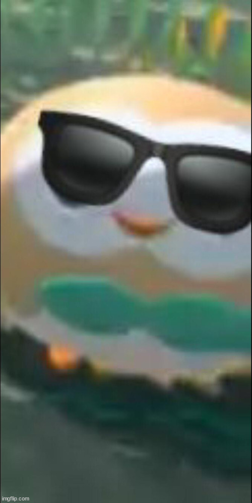 Cool ROWLET | image tagged in cool rowlet | made w/ Imgflip meme maker