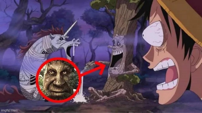 THE WISE MYTHICAL TREE IS REAL!! | made w/ Imgflip meme maker