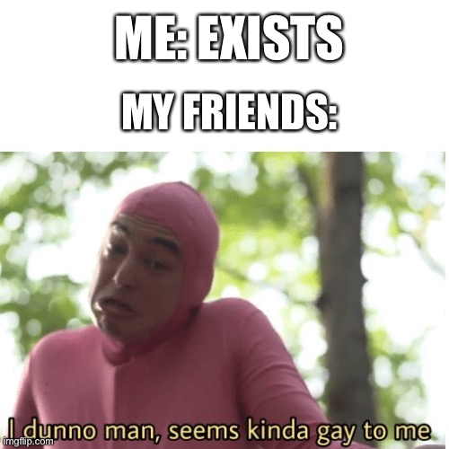 true story tho | ME: EXISTS; MY FRIENDS: | image tagged in i dunno man seems kinda gay to me | made w/ Imgflip meme maker