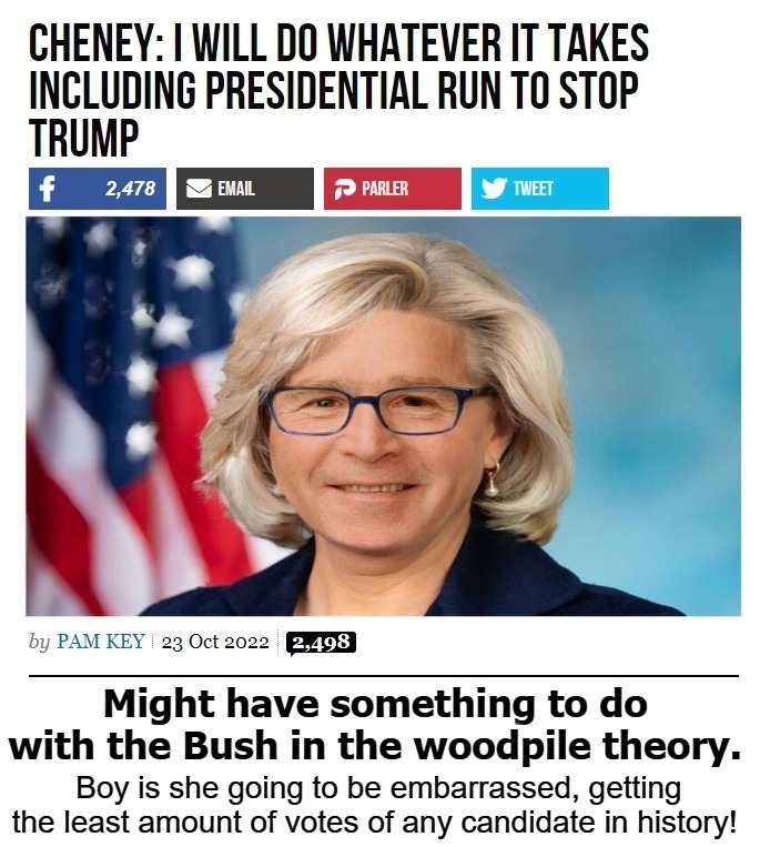 Liz Cheney: Trump Derangement Syndrome on Steroids | image tagged in liz cheney,tds,trump derangement syndrome,delusional,mental illness,never go full retard | made w/ Imgflip meme maker