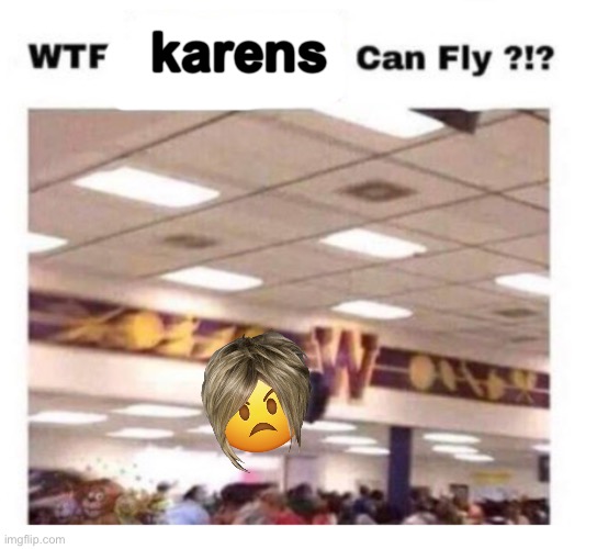 Oh my oh my. | karens | image tagged in wtf --------- can fly | made w/ Imgflip meme maker