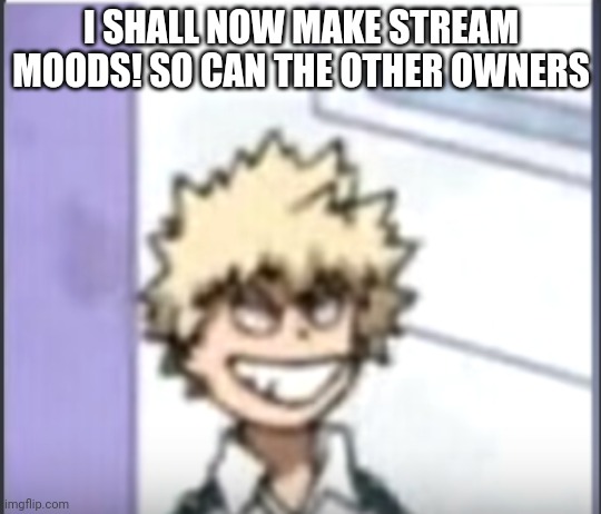 Bakugo sero smile | I SHALL NOW MAKE STREAM MOODS! SO CAN THE OTHER OWNERS | image tagged in bakugo sero smile | made w/ Imgflip meme maker