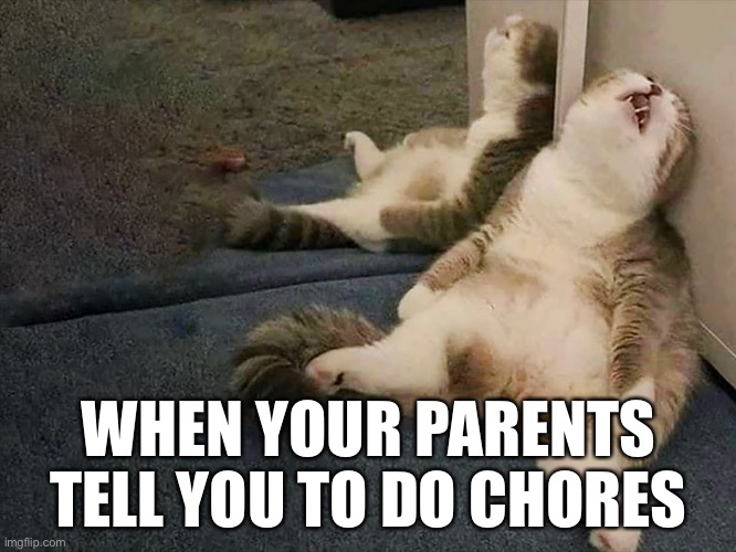 it is true | WHEN YOUR PARENTS TELL YOU TO DO CHORES | image tagged in cats,funny,relatable,chores | made w/ Imgflip meme maker