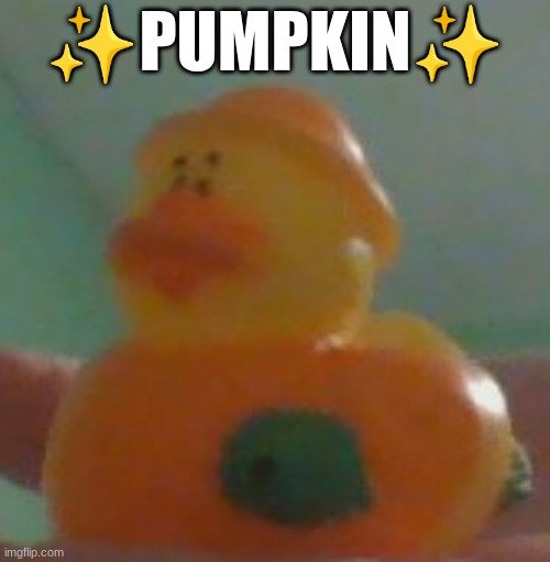 IT'S SPOOKY SEASON >:D | ✨PUMPKIN✨ | image tagged in pumpkin,duck,spooktober | made w/ Imgflip meme maker