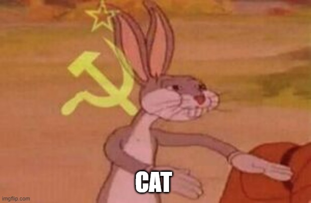 our | CAT | image tagged in our | made w/ Imgflip meme maker