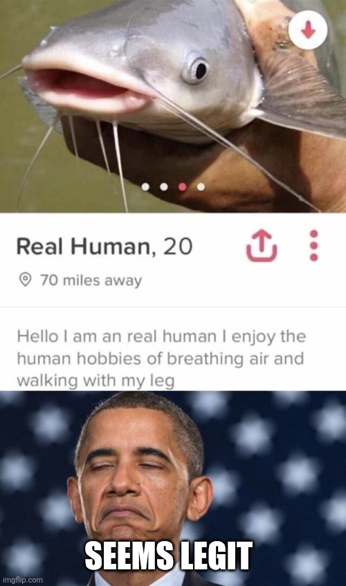 Yup this is totally fool-proof | SEEMS LEGIT | image tagged in seems legit obama,memes,meme,fish,online dating | made w/ Imgflip meme maker