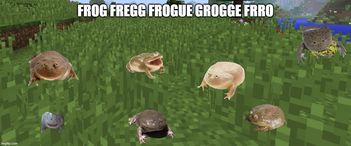 frog | FROG FREGG FROGUE GROGGE FRRO | image tagged in frog | made w/ Imgflip meme maker